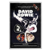 Guitar Picks - David Bowie - The Man Who Sold the World