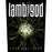Back Patch - Lamb of God - Into Oblivion