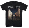 Pink Floyd