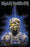Deluxe Flag - Iron Maiden - Powerslave Eddie