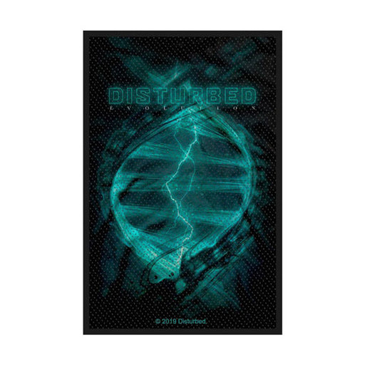 Patch - Disturbed - Evolution